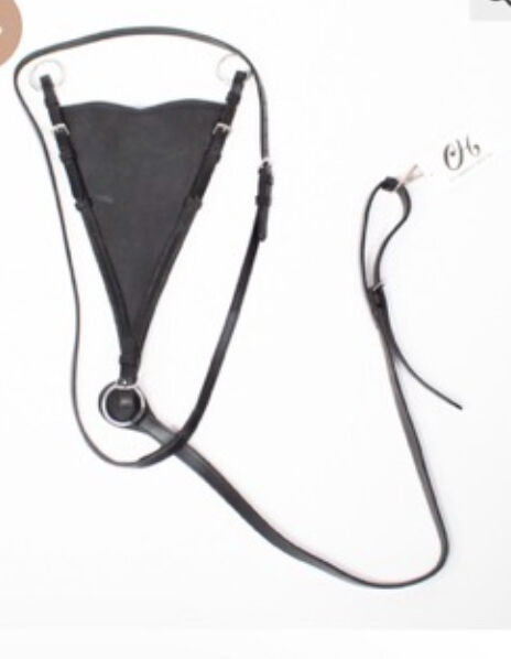 Martingal mit geschlossener Martingal Gabel neu WB, TT, Training Aids, Gerabronn
