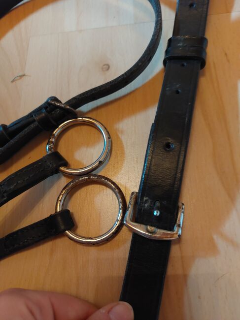 Martingal schwarz VB/WB, JF, Training Aids, Pressath, Image 3