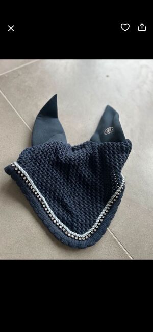 BR Fliegenhaube, BR, Emilia , Ochrona koni przed owadami , Rödinghausen