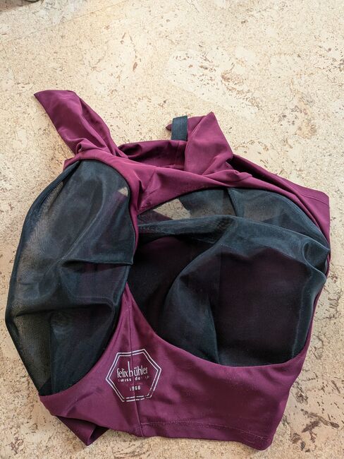 Fliegenmasken, Felix Bühler und Irish Innovation , Laura Eckel , Ochrona koni przed owadami , Bonn