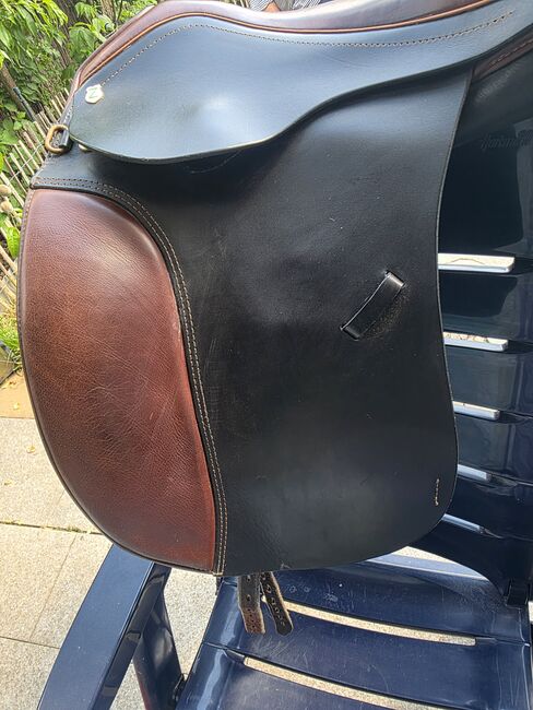 Massimo connect ds, Massimo Connet DS, Karolin Hammer , Dressage Saddle, Heinsberg , Image 8