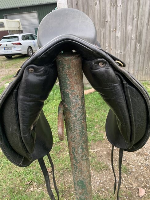 Massimo Dressur 2, Massimo  Dressur 2, Ylvi , Dressage Saddle, Groß Buchwald, Image 8