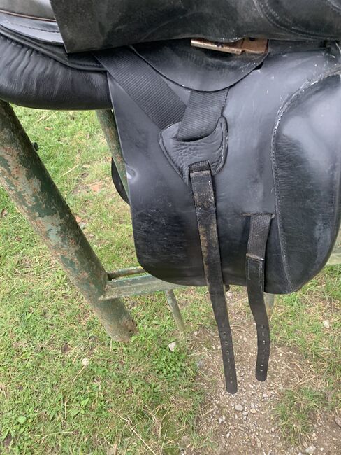 Massimo Dressur 2, Massimo  Dressur 2, Ylvi , Dressage Saddle, Groß Buchwald, Image 4
