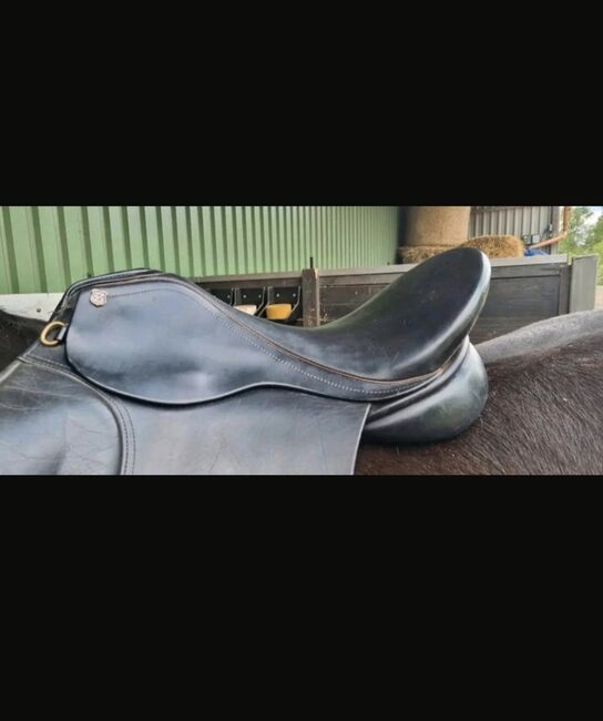 Massimo Dressur 2, Massimo Dressur 2, Kimberley , Dressage Saddle, Uetersen 