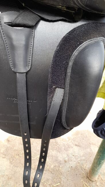 Massimo Dressur 2 - neuwertig, Massimo Dressur 2, Birgit Steiner, Dressage Saddle, Gerasdorf, Image 17