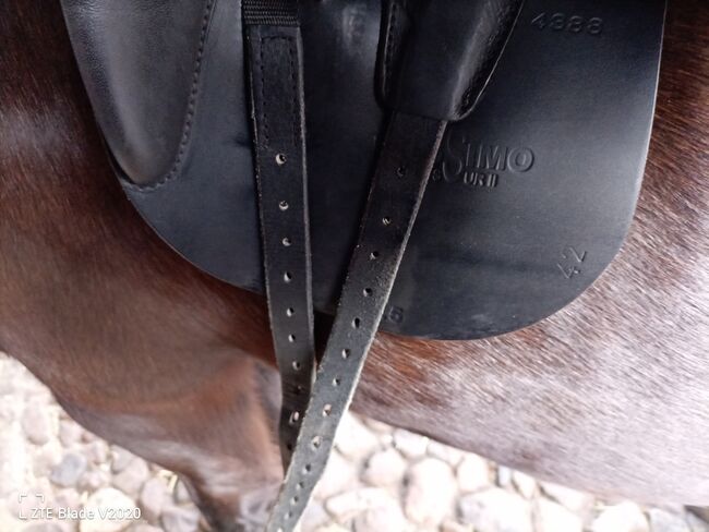 Massimo Dressur II, 17,5 FK, Heike Wahlen-Voigt , Dressage Saddle, Etelsen, Image 3