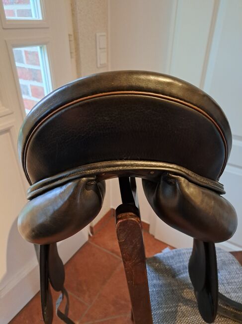 Massimo Dressur II, Massimo Dressur II, Specht, Dressage Saddle, Rhauderfehn , Image 4