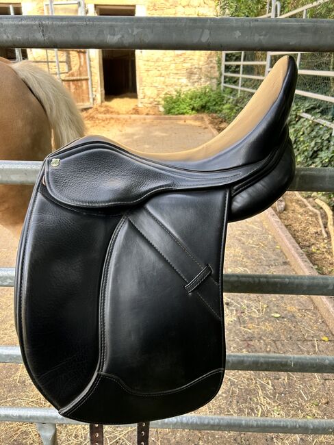 Massimo Dressur II, Massimo  Dressur II, Nathalie Mergenthaler, Dressage Saddle, Winnweiler