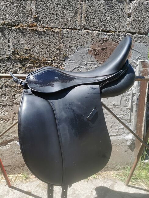 Massimo Dressur II, FK,18", Massimo Dressur II, Sarah , Dressage Saddle, Bad Hersfeld