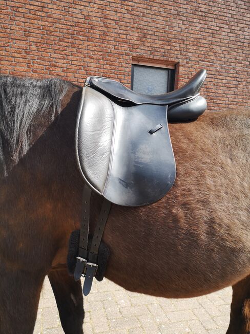 Massimo Dressur II Sattel, Massimo Massimo Dressur II , Hannah, Dressage Saddle, Lehe, Image 12