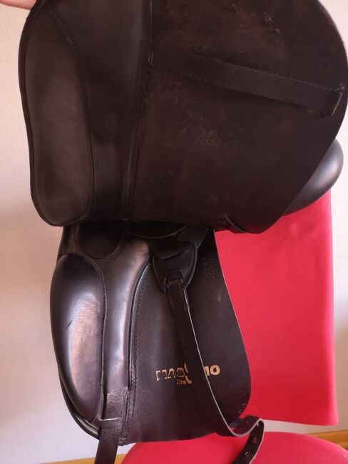 Massimo Dressur II Sattel, Massimo Massimo Dressur II , Hannah, Dressage Saddle, Lehe, Image 5