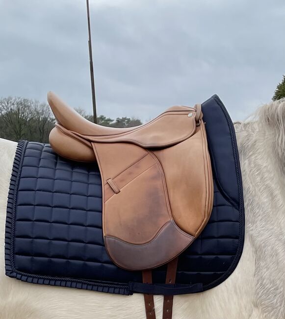 Massimo Dressur Sattel 17zoll französische Polster, Massimo, Denise, Dressage Saddle, Heiden, Image 2