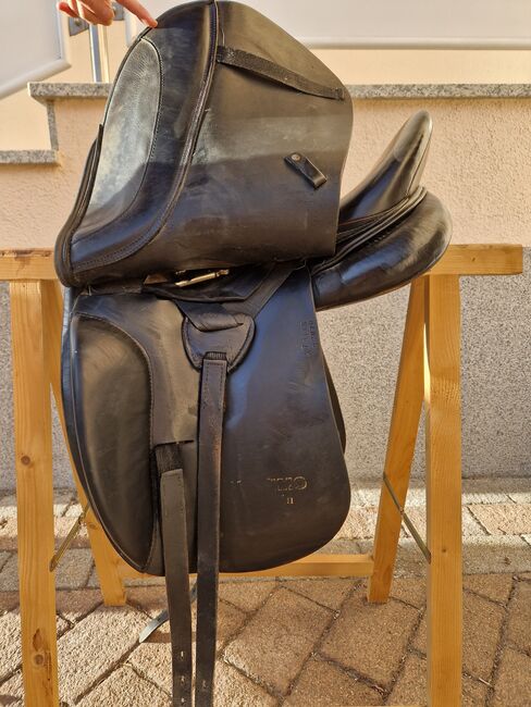 Massimo Dressursattel, Massimo, Maren, Dressage Saddle, Reutte, Image 7