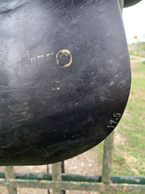 Massimo Dressur 2, Massimo  Dressur 2, Ylvi , Dressage Saddle, Groß Buchwald, Image 7