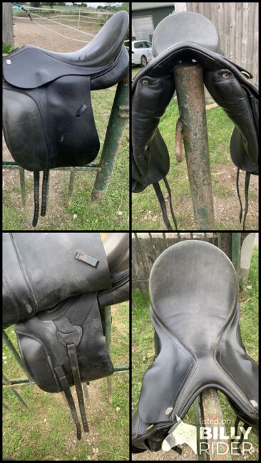 Massimo Dressur 2, Massimo  Dressur 2, Ylvi , Dressage Saddle, Groß Buchwald, Image 9