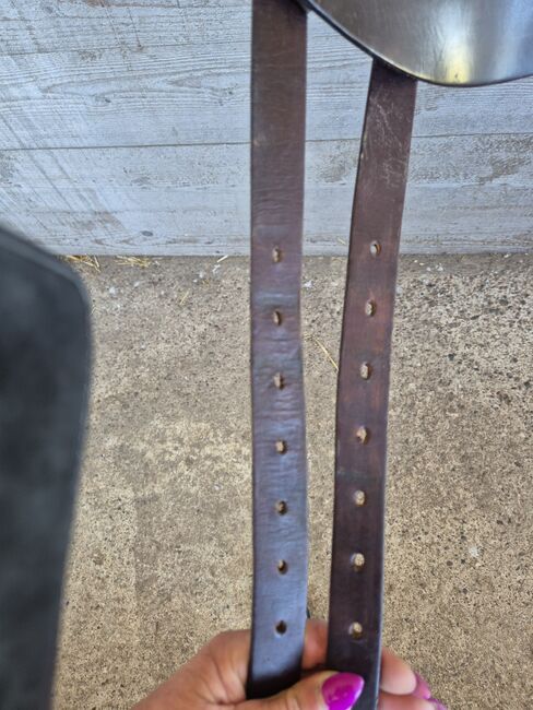 Massimo Dressursattel, Kaltblutsattel, topp, 19,5", Massimo, Meddy, Dressage Saddle, Kiel, Image 5