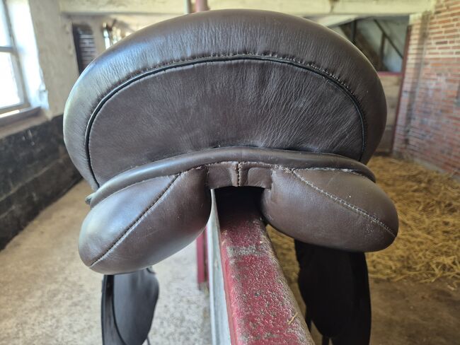 Massimo Dressursattel, Kaltblutsattel, topp, 19,5", Massimo, Meddy, Dressage Saddle, Kiel, Image 3
