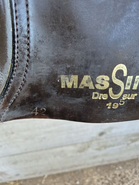 Massimo Dressursattel, Kaltblutsattel, topp, 19,5", Massimo, Meddy, Dressage Saddle, Kiel, Image 4