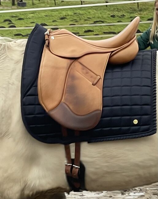 Massimo Dressur Sattel 17zoll französische Polster, Massimo, Denise, Dressage Saddle, Heiden