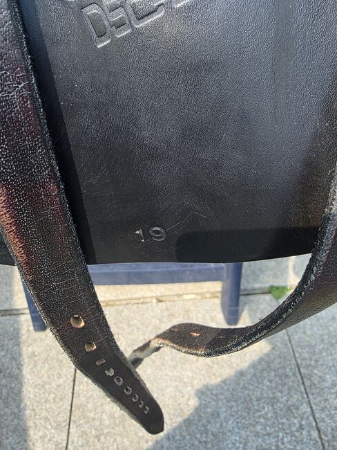 Massimo connect ds, Massimo Connet DS, Karolin Hammer , Dressage Saddle, Heinsberg , Image 4
