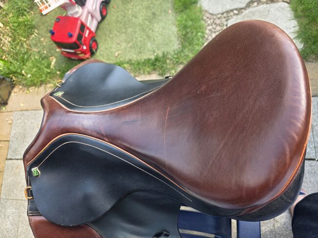 Massimo connect ds, Massimo Connet DS, Karolin Hammer , Dressage Saddle, Heinsberg , Image 7