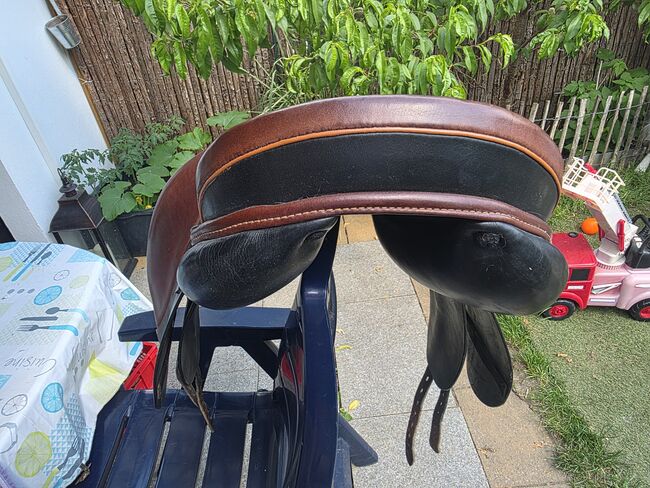 Massimo connect ds, Massimo Connet DS, Karolin Hammer , Dressage Saddle, Heinsberg , Image 6