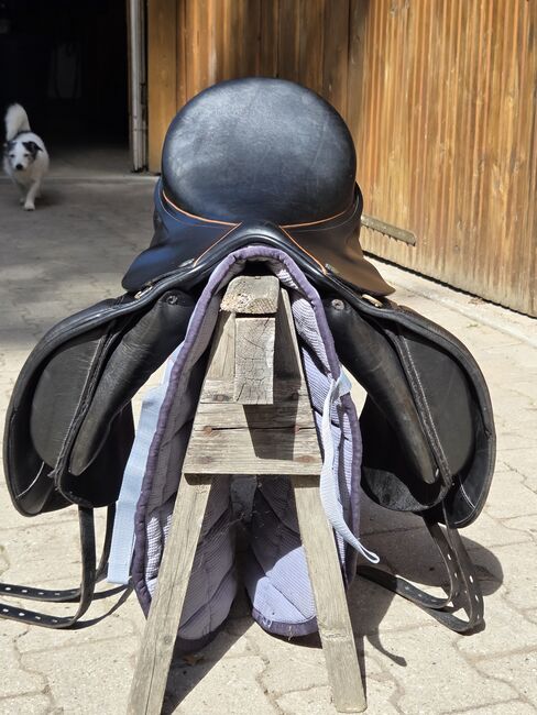 Massimo-DS connect, Massimo  DS Connect , Jenny Scheffel , Dressage Saddle, Hitzacker , Image 4