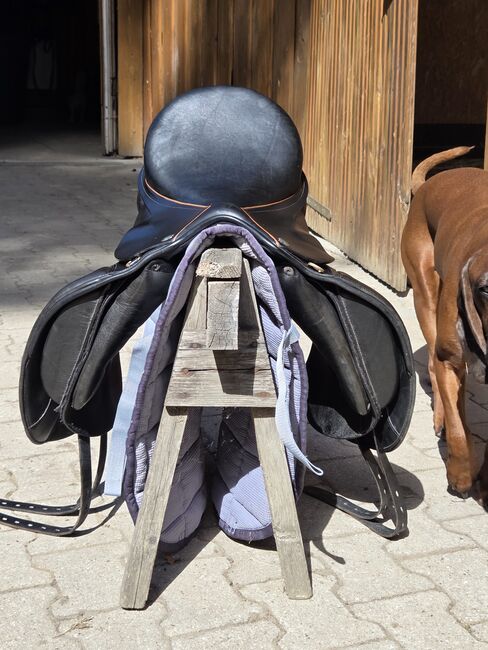 Massimo-DS connect, Massimo  DS Connect , Jenny Scheffel , Dressage Saddle, Hitzacker , Image 3