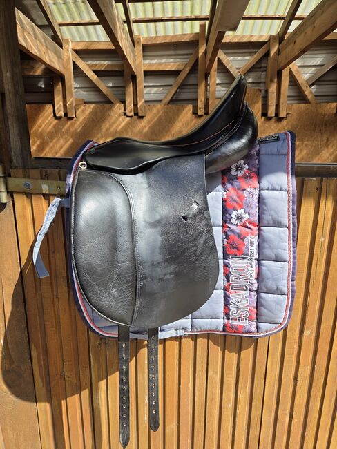 Massimo-DS connect, Massimo  DS Connect , Jenny Scheffel , Dressage Saddle, Hitzacker 