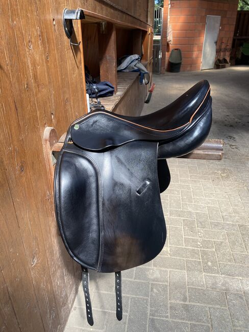 Massimo DS Connect Sattel KW36/17,5Zoll, Massimo DS Connect, Myriam, Dressage Saddle, Osterholz-Scharmbeck, Image 10