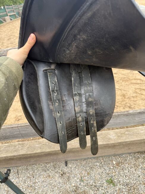 Massimo Vielseitigkeitssattel, Massimo, Victoria , All Purpose Saddle, Olching, Image 2