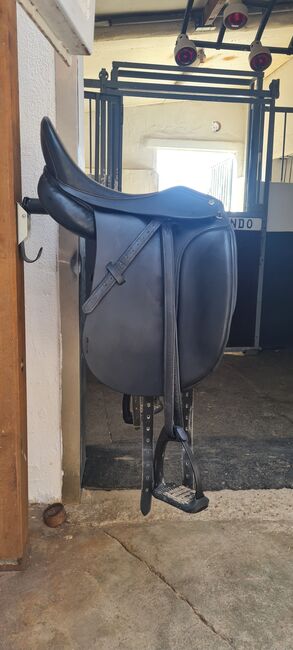 Dressursarrei Massimo II französische Kissen, Massimo Dressur II französische Kissen, Sabrina Forger , Dressage Saddle, Heinsberg, Image 3