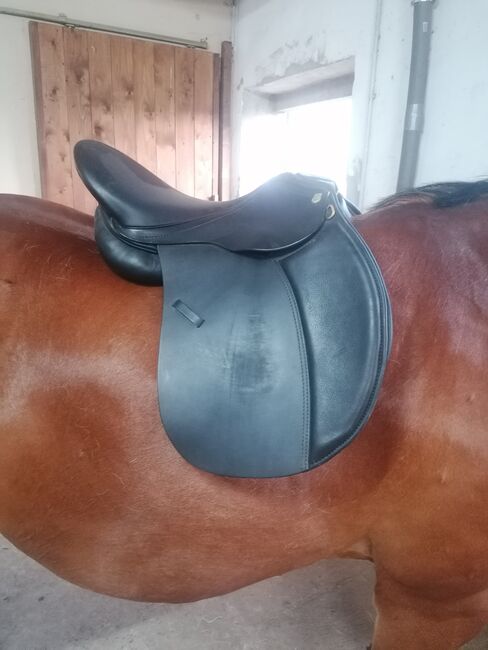 Massimo Sattel VS, Massimo VS, Angelina Schmitt , All Purpose Saddle, Rheinbach