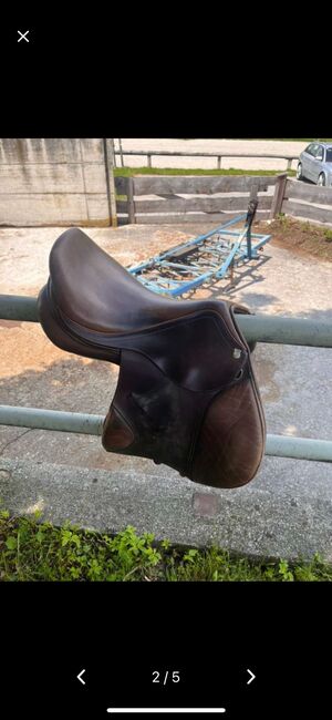 Massimo Saltatore Springsattel, Massimo Saltatore, Miri B., Jumping Saddle, Obsteig, Image 2