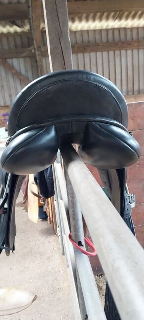 Massimo Son II, KW 36, 17,5 Zoll, Massimo  Son II, Ines, All Purpose Saddle, Lentföhrden, Image 2