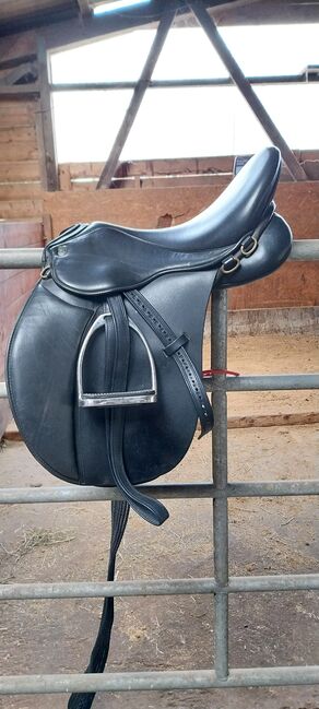 Massimo Son II, KW 36, 17,5 Zoll, Massimo  Son II, Ines, All Purpose Saddle, Lentföhrden