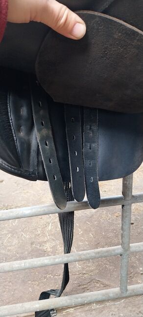 Massimo Son II, KW 36, 17,5 Zoll, Massimo  Son II, Ines, All Purpose Saddle, Lentföhrden, Image 4