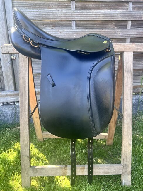 Massimo Tölt II , 17,5, Massimo Tölt II, Janina, Icelandic Saddle, Hamburg