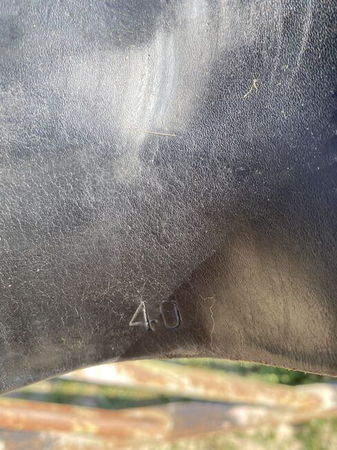 Massimo Wanderreitsattel Dressur, Massimo Wandern, Bianca , Endurance Saddle, Bedburg, Image 6