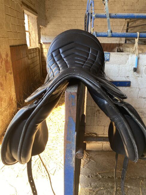 Massimo Wanderreitsattel Dressur, Massimo Wandern, Bianca , Endurance Saddle, Bedburg, Image 10