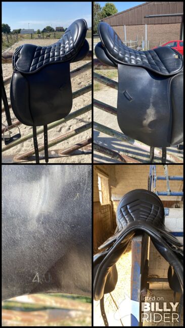 Massimo Wanderreitsattel Dressur, Massimo Wandern, Bianca , Endurance Saddle, Bedburg, Image 11