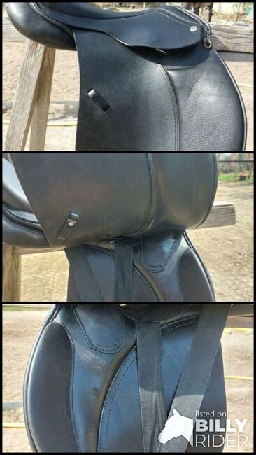 Massimo VS 18" KW 40, Massimo Vielseitigkeit, Rebecca, All Purpose Saddle, Mainz, Image 4