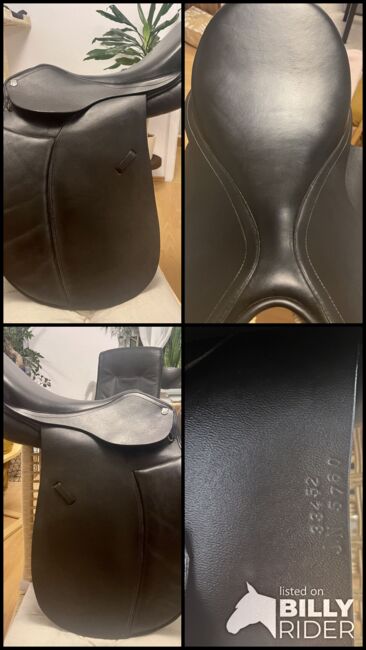 Massimo VS 19“, KW 35, fr. Kissen, Zeitler Massimo VS, Mirjam Ebert , All Purpose Saddle, Sickte, Image 10