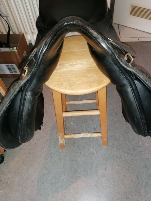 Massimo VS, Massimo  Vielseitigkeit , Schierloh , All Purpose Saddle, München , Image 7