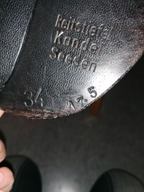 Massimo VS, Massimo  Vielseitigkeit , Schierloh , All Purpose Saddle, München , Image 6