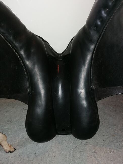 Massimo VS, Massimo  Vielseitigkeit , Schierloh , All Purpose Saddle, München 