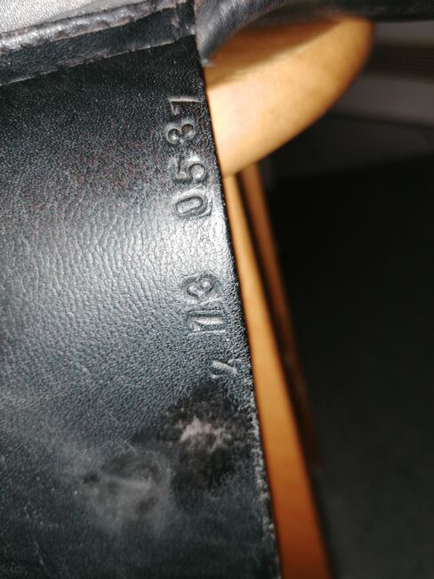 Massimo VS, Massimo  Vielseitigkeit , Schierloh , All Purpose Saddle, München , Image 4