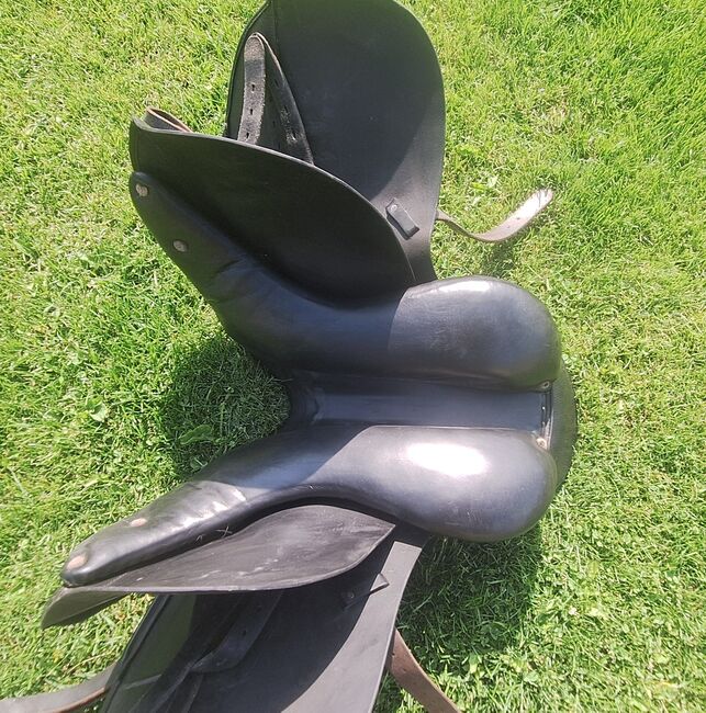 Massimo VSD, 17 Zoll, KW(36) 38, französische Kissen, Massimo, Lysann, All Purpose Saddle, Aiterhofen, Image 6