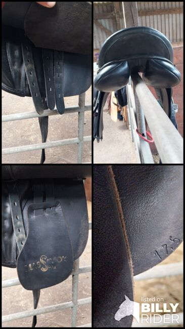 Massimo Son II, KW 36, 17,5 Zoll, Massimo  Son II, Ines, All Purpose Saddle, Lentföhrden, Image 6