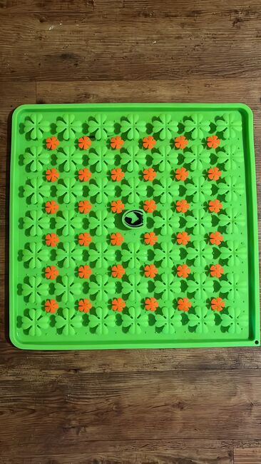 Pferdeschleckmatte, Larissa Müller, Konie na sprzedaż, Hessisch Lichtenau 